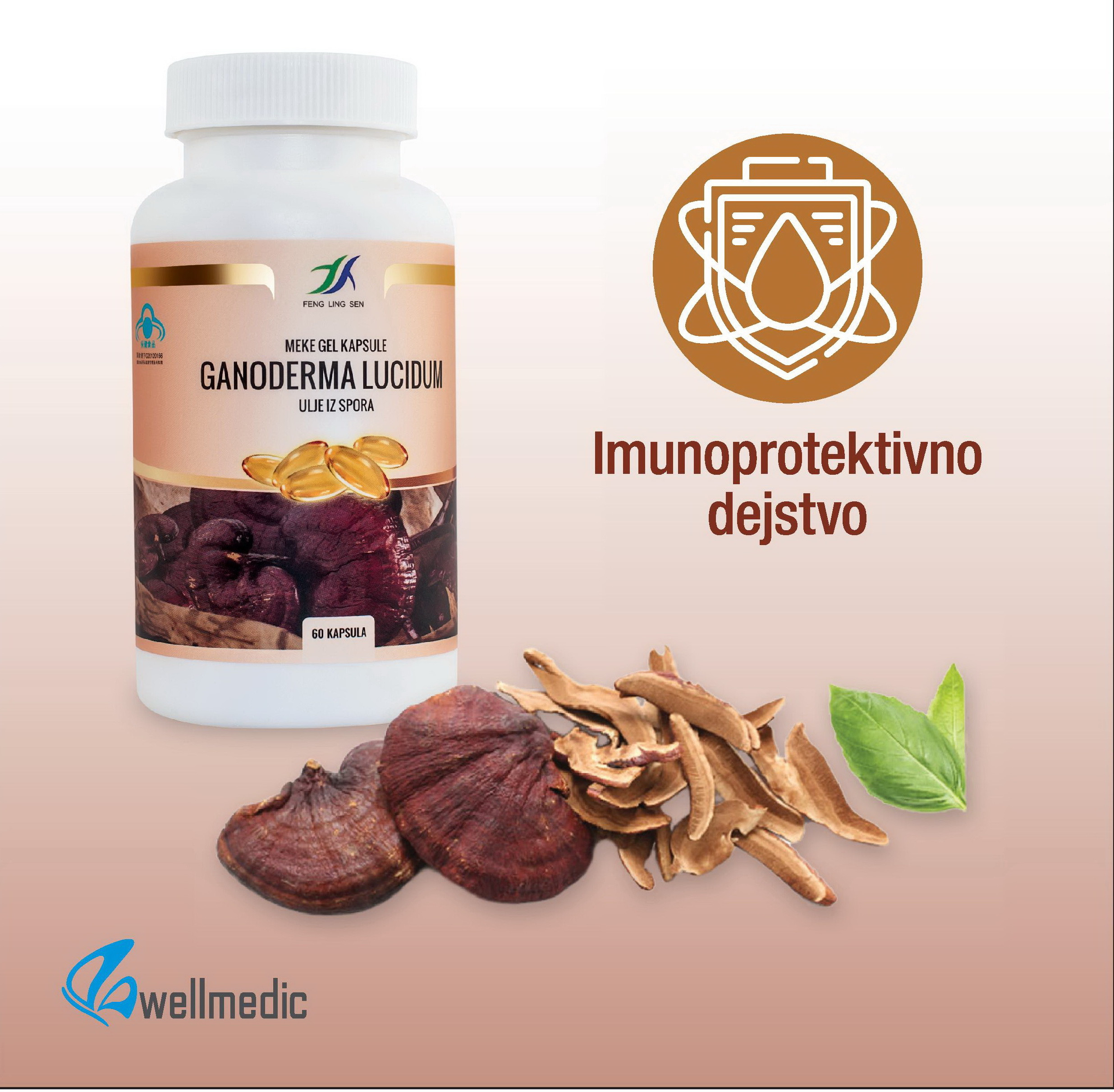 GANODERMA LUCIDUM - VAŠ ŠTIT PROTIV VIRUSA I BAKTERIJA